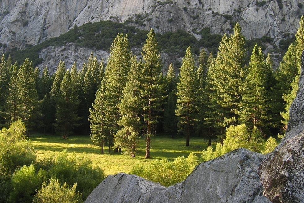John Muir Lodge Hume 외부 사진